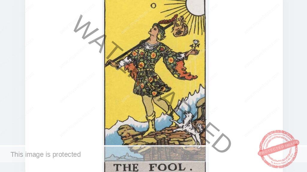 바보 카드The Fool (tarot card)
