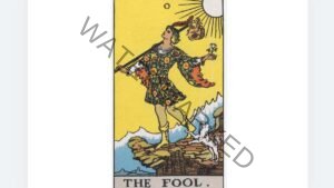 0.바보 (The Fool) 카드 금전, 재물, 건강, 시험, 하려는 일 해석 포인트