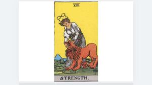 Strength 카드