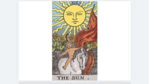 '태양' 카드